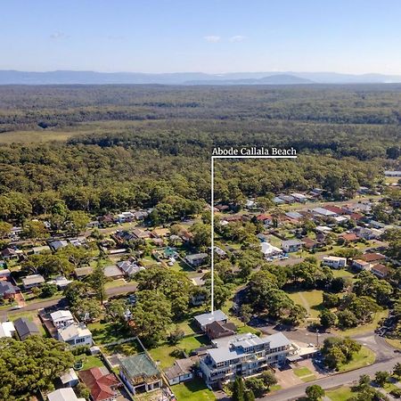 Abode Callala Beach Jervis Bay - 100M To Beach! Bagian luar foto
